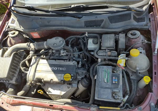 Opel Astra cena 4900 przebieg: 234500, rok produkcji 1998 z Miechów małe 742